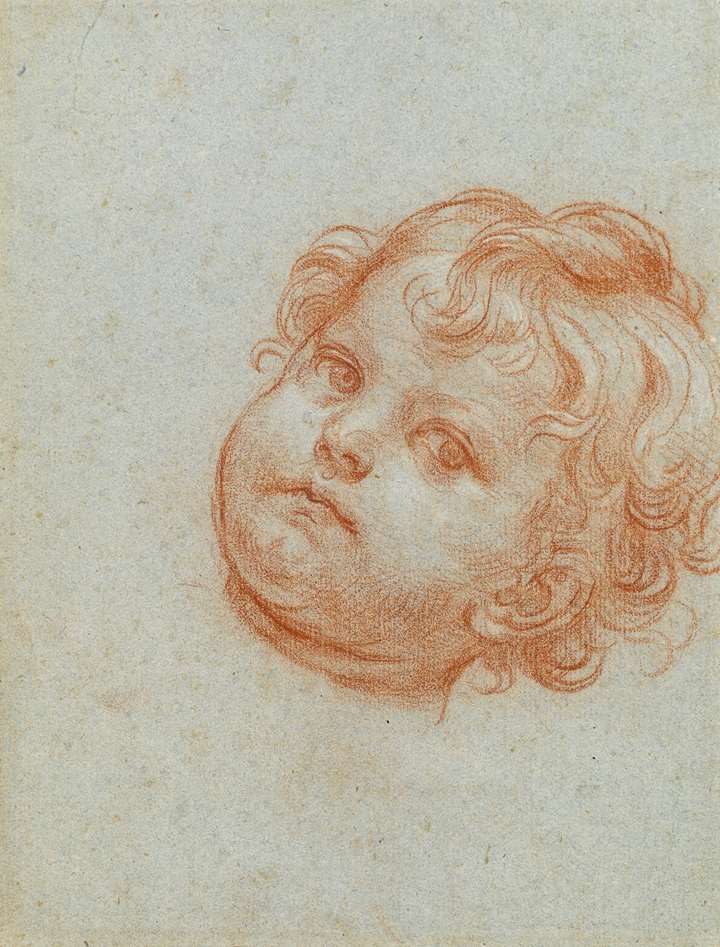 The Head of a Young Boy [recto]; The Penitent Saint Peter [verso]